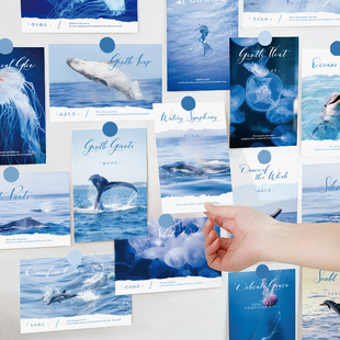 蓝色系海洋风景明信片大海水母装饰卡片高级感手写留言祝福贺卡