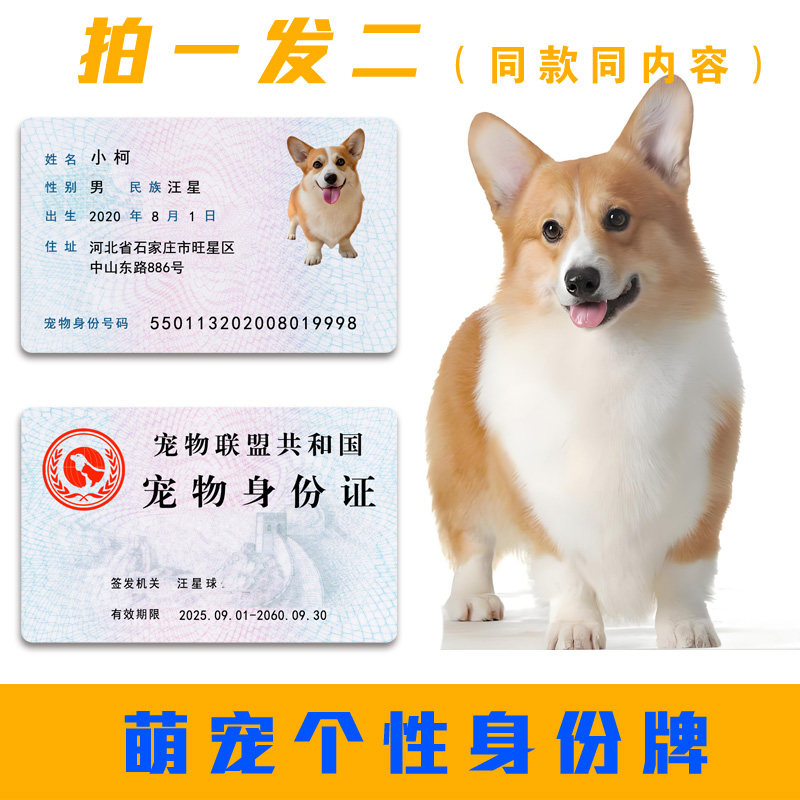 宠物仿真通行证定制猫咪狗狗身份牌证件创意萌宠周边可定制挂牌