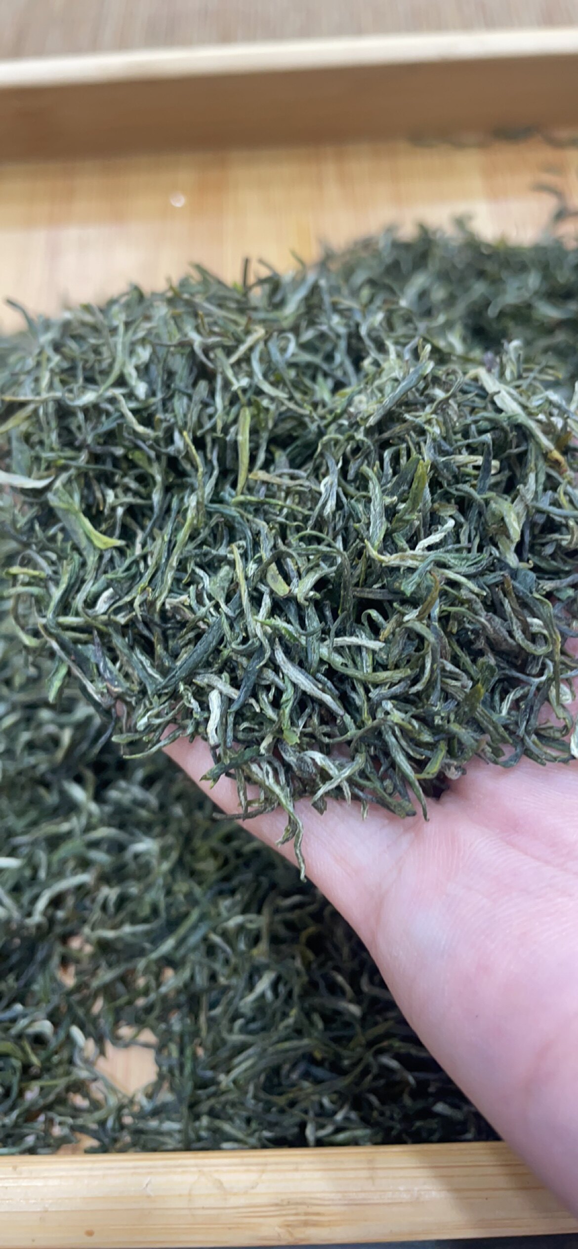 2026年新茶春茶高山绿茶神农架芽茶毛尖茶老品种茶树250克炒青茶