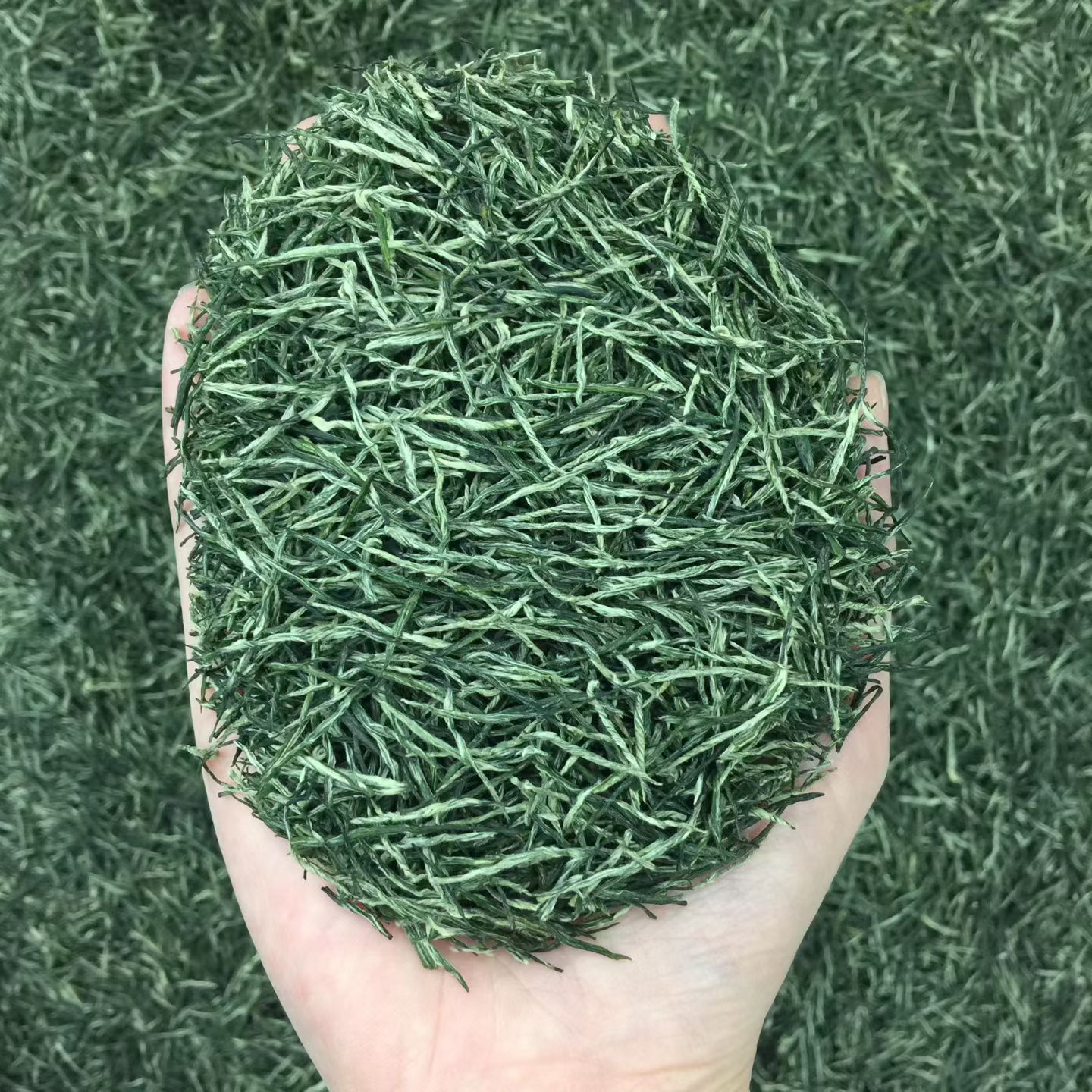 湖北神农架特产绿茶2026年新特色产区绿茶