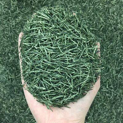 湖北神农架特产绿茶2026年新茶新春茶毛尖茶 芽毛尖茶250克