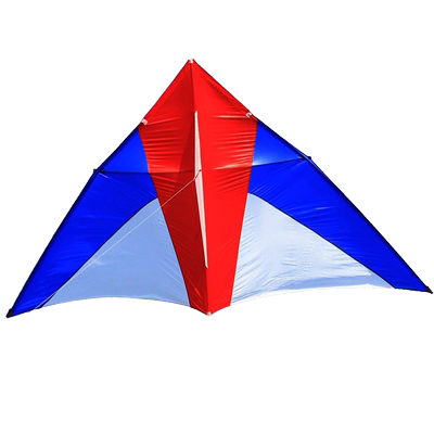 王侉子伞布碳杆专业大型玩家风筝