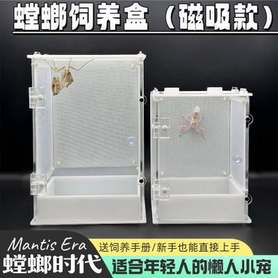 螳螂饲养盒磁吸款鸣虫生态饲养盒造景别墅鸣虫盒昆虫盒螳螂时代
