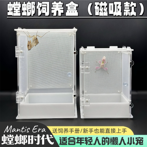 螳螂饲养盒磁吸款鸣虫生态饲养盒造景别墅鸣虫盒昆虫盒螳螂时代
