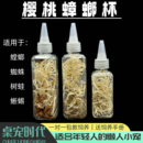 樱桃蟑螂杯樱桃红蟑螂罐装 螳螂蜘蛛饲料爬虫饲料螳螂食物桌宠时代