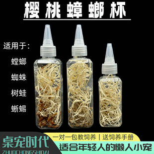 樱桃蟑螂杯樱桃红蟑螂罐装 螳螂蜘蛛饲料爬虫饲料螳螂食物桌宠时代