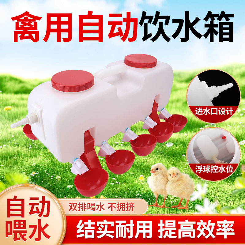 鸡饮水器自动喂水水箱鸡鸭喝水碗