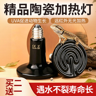 爬宠陶瓷加热灯陆龟蜥蜴爬虫箱