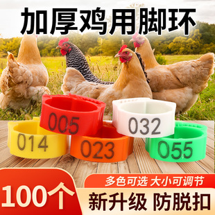 鸡脚环卡扣式 鸡用脚环脚圈记号识别环鸡鸭鹅家禽类脚环脚圈标签