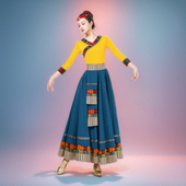 广场舞服装 女艺考练习跳舞半身大摆裙子 藏族舞蹈演出服装 新款 套装