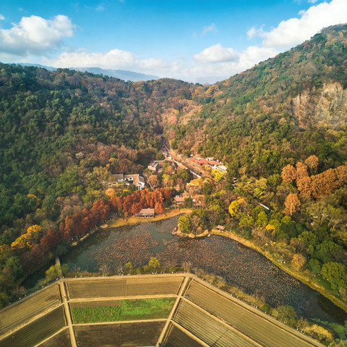 2025新店开业，酒店位于杭州西湖风景区、八卦田旁交通便利 含丰富权益：早餐+品尝西湖龙井茶，简餐/下午茶可选 性价比之王，299元起1晚周末元旦不加价！春节加价可用