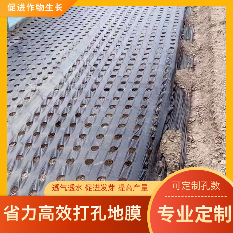 加厚开孔打孔黑地膜农用种植除草保温薄膜