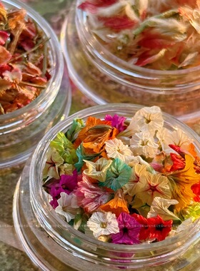 日系is风迷你美甲干花