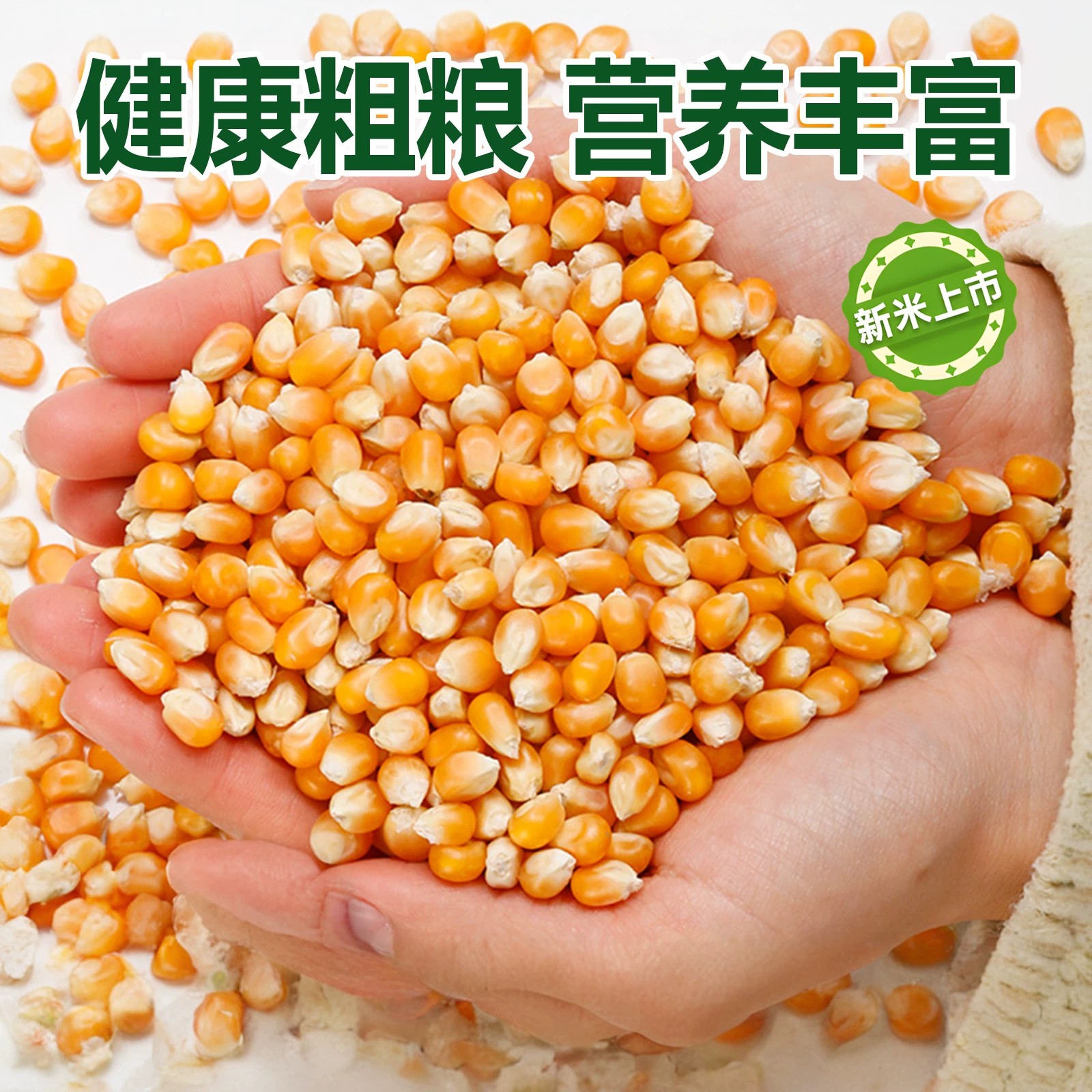 玉米粒家禽饲料打窝鱼饵苞米批发