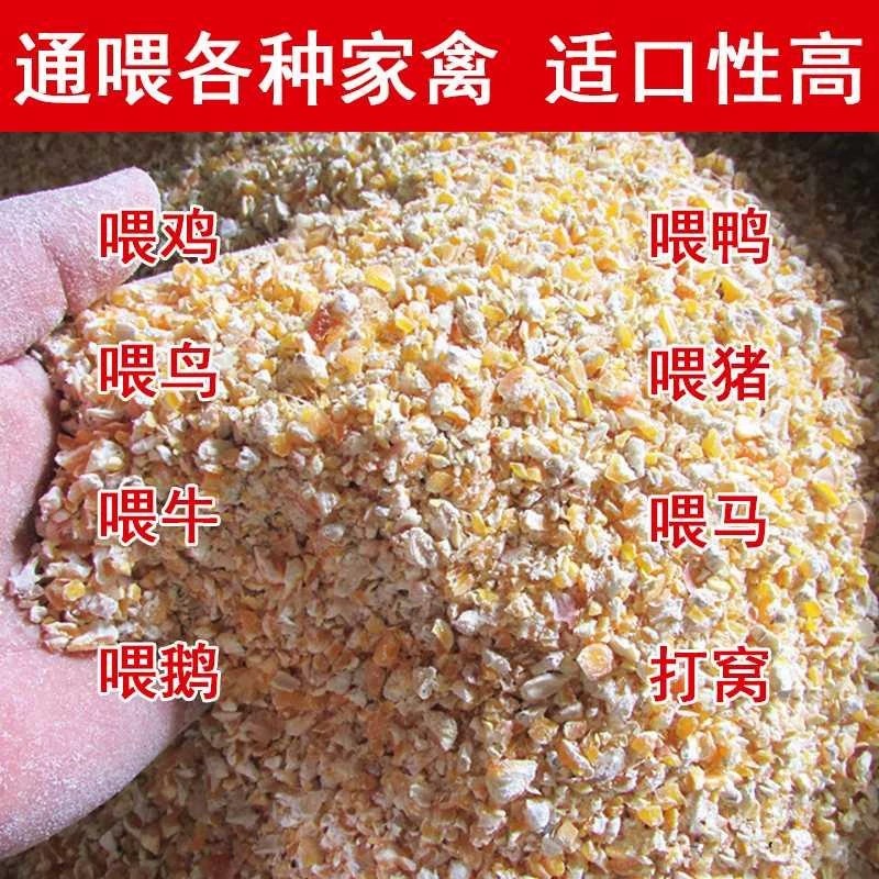 东北玉米碎粒100斤原粮2026年产