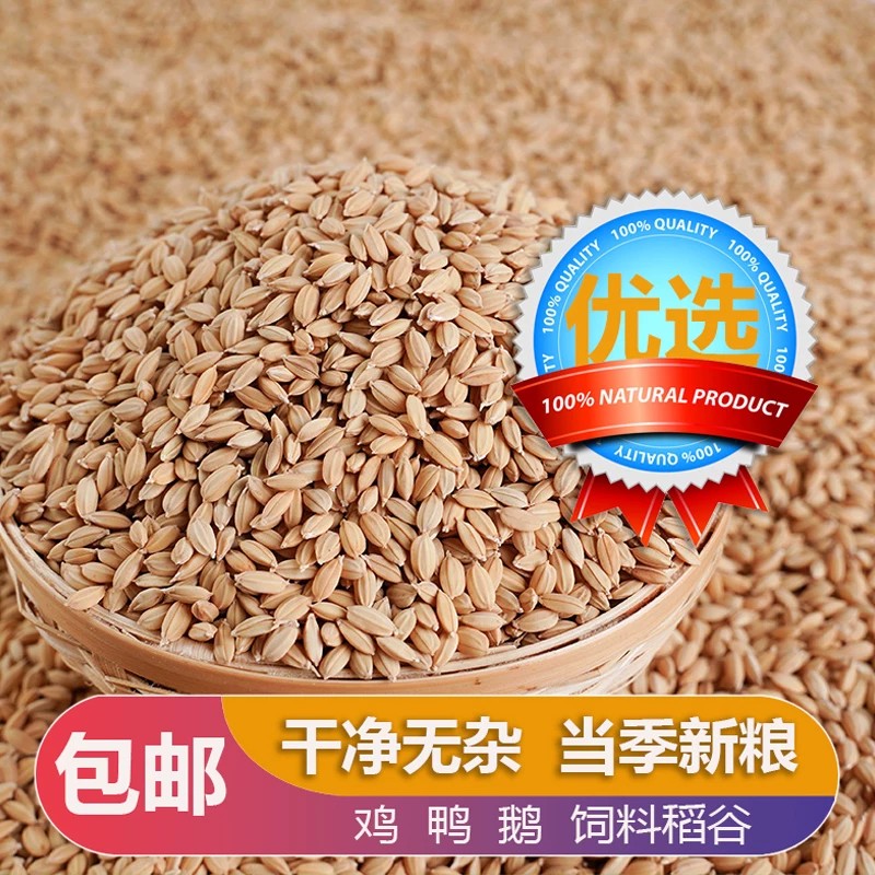 稻谷水稻东北2026年原产养殖批发