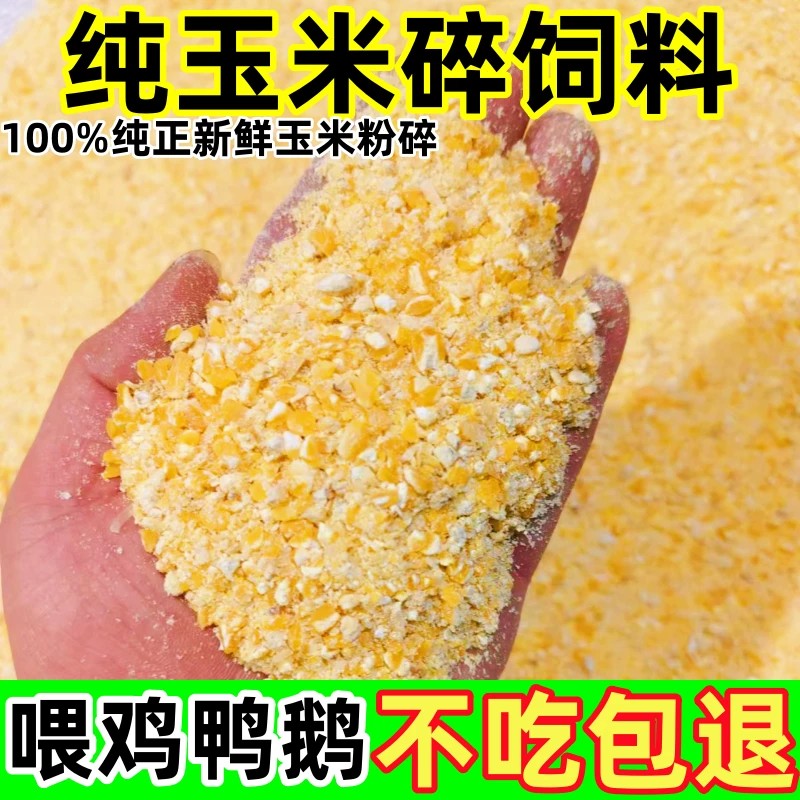 东北玉米碎粒原产地2026年批发款