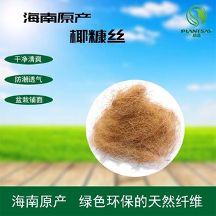 海南原产花店装园艺椰丝铺面天然椰棕丝铺面椰棕丝盆栽精选椰糠丝