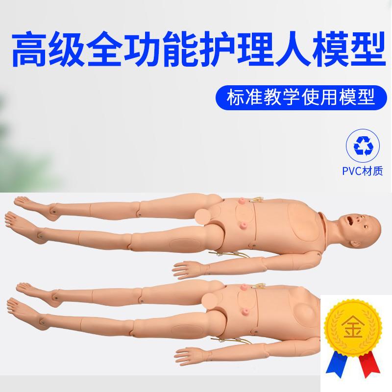 高级全功能护理人体模型男女导尿模型带内L脏褥疮口鼻插管吸痰洗