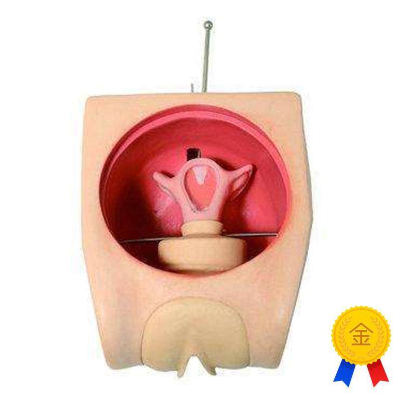 妇科技能训练g检查计划生育教学育练习模型宫内避孕器上环取环模