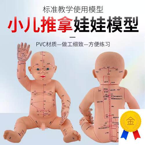 婴儿人体模型儿童娃娃人体模型针灸中医I通用穴位小孩推拿彷真模