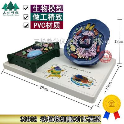 动植物细胞对比模型动物细胞模型植物细胞模型T初高中生物器材