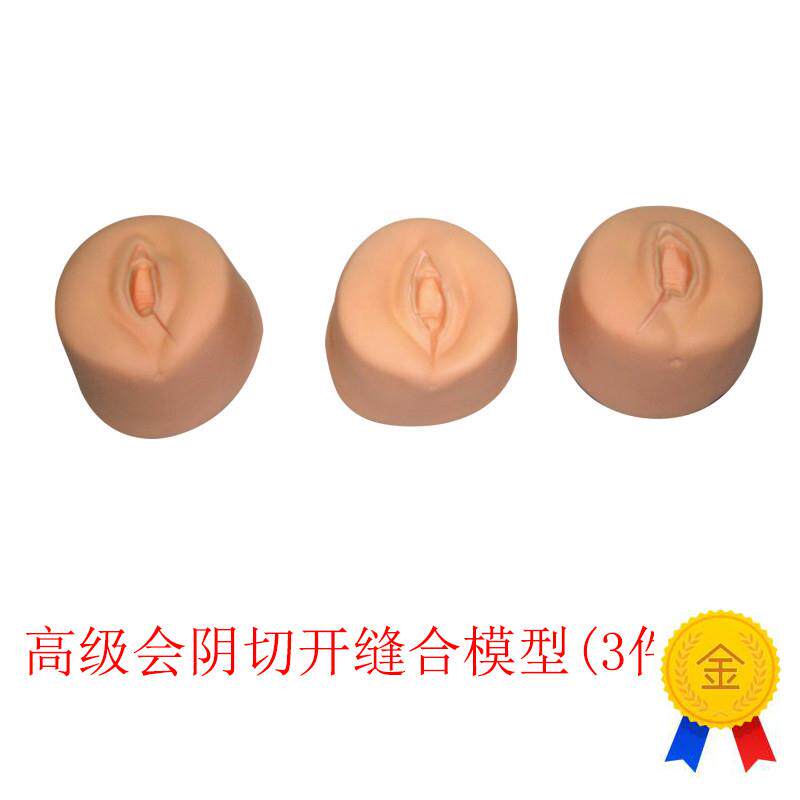会阴切开缝c合训练模型会阴正中偏左偏右缝合技能模型妇科训练教