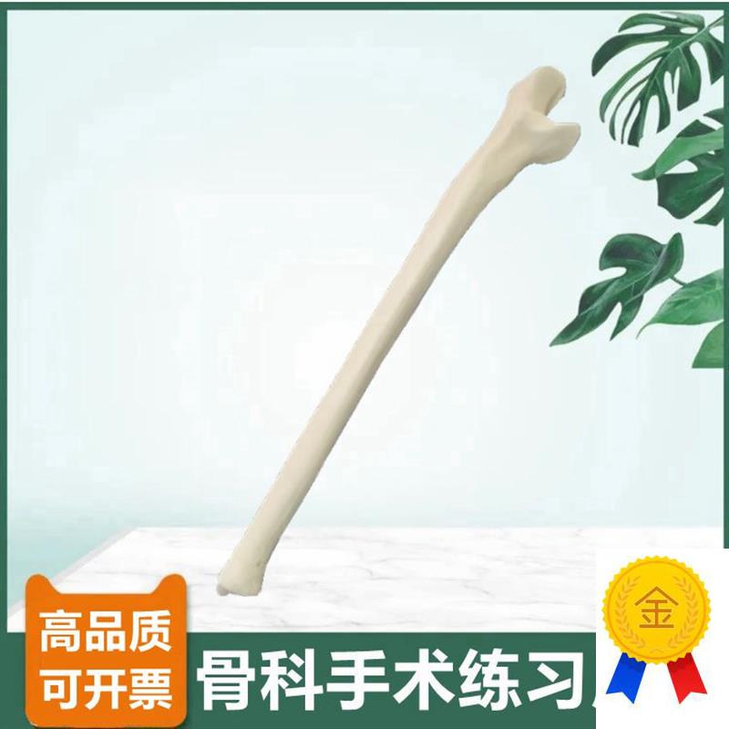 尺骨模型仿真骨手术技能考试骨科医生用钻孔骨质密V度桡骨人体四