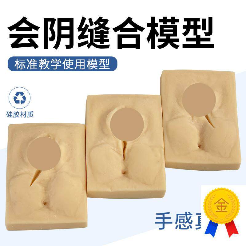 女性会阴缝d合模型会阴撕裂缝合模型妇产科会阴切开缝合模型