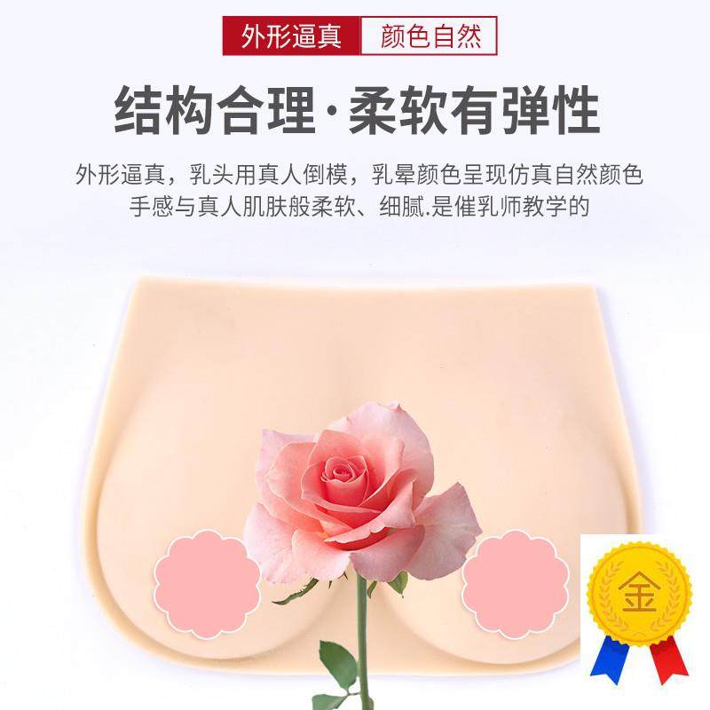 催乳师教具女性乳房模型硅胶乳房模型催N乳师培训医学用假乳房