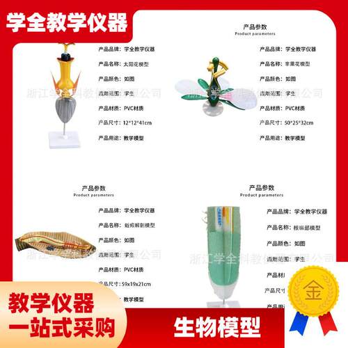 高中生物模型教学演示教具生物C动物模型植物模型生物教学仪器