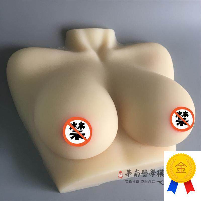 催乳师教具女性乳房模型硅胶乳房D模型催乳师培训医学用假乳房