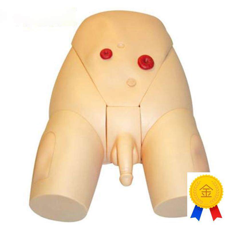高级男性生殖器导尿模型医D学导尿练习模型训练模具