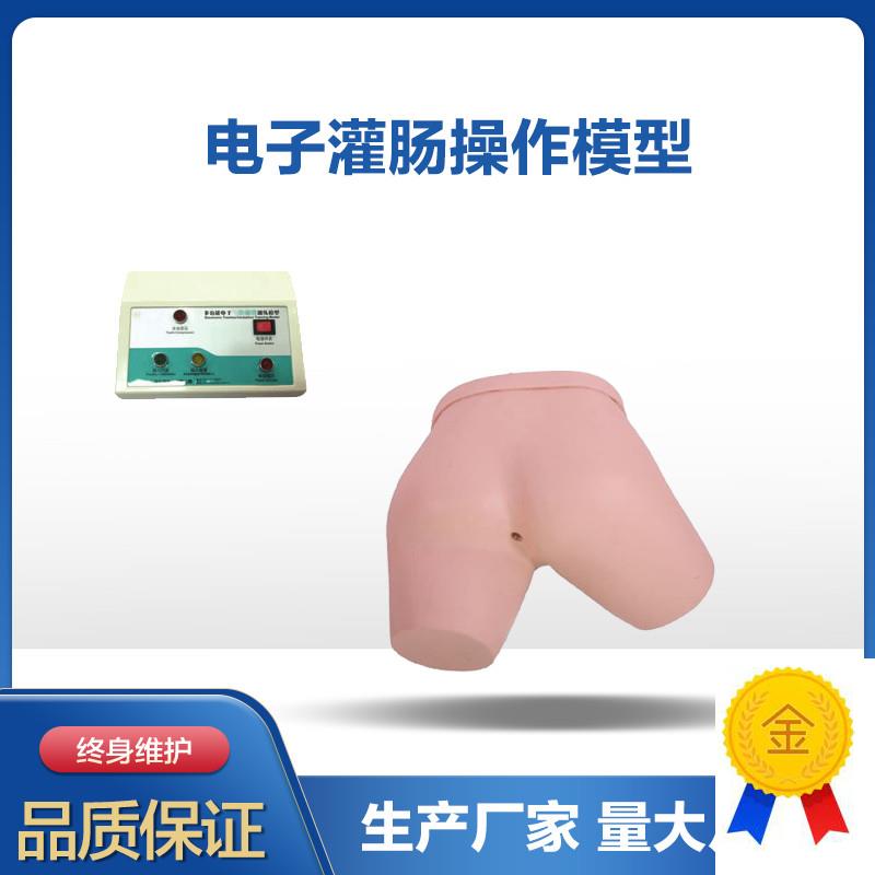 电子灌肠操d作模型灌肠术练习模型护理教学模型护士护理员培养