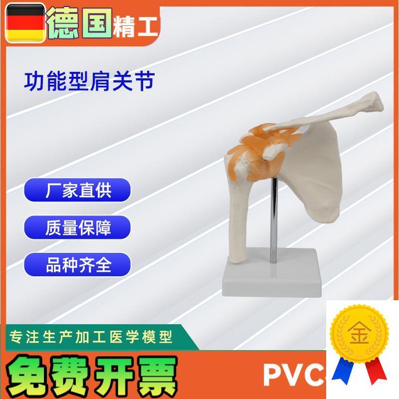 功能型肩关k节模型人体关节教学模型