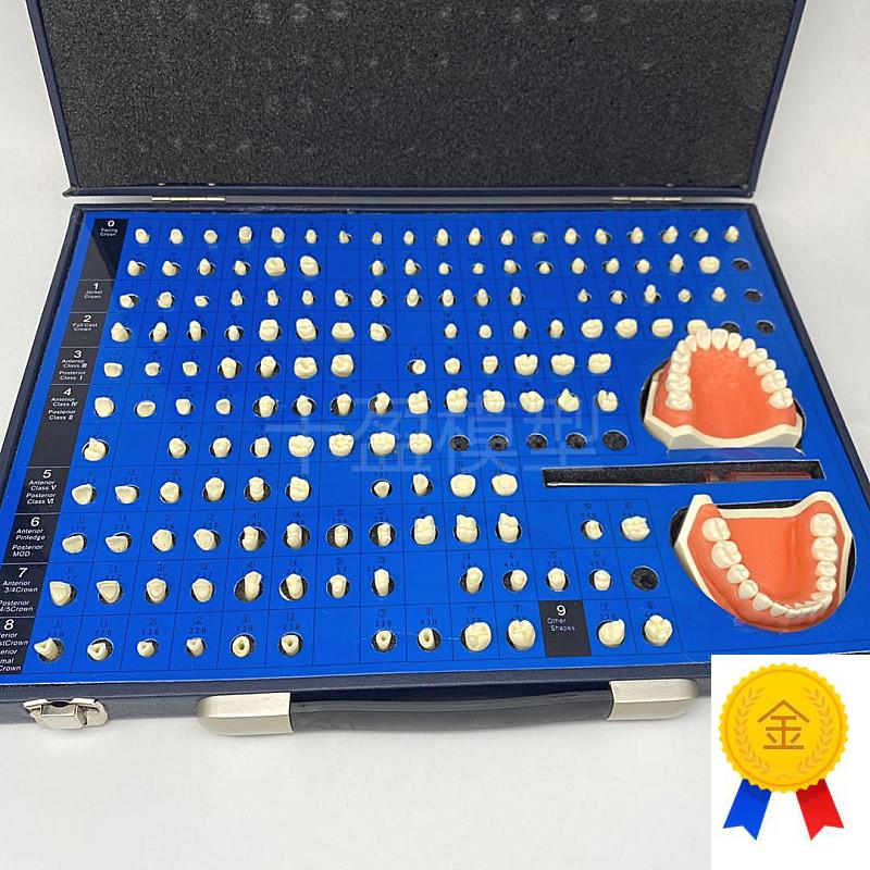 口腔齿科备牙模型牙体制备b窝洞义齿加工模型技工牙体预备展示模