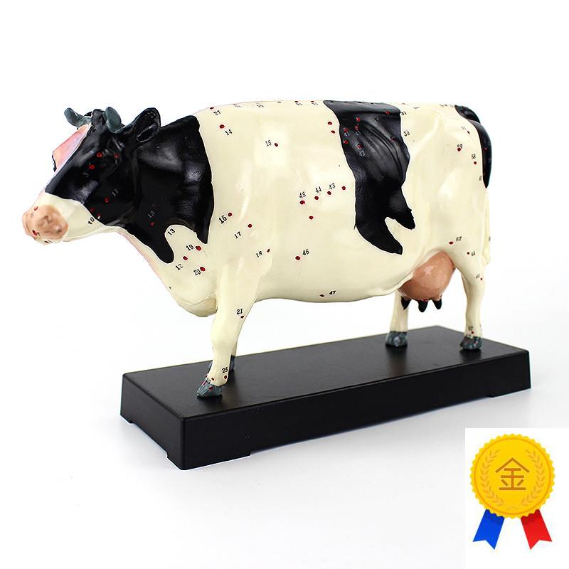 ENOVO颐诺牛针灸穴位模型物解剖E模型宠物模型生物畜牧教学针灸