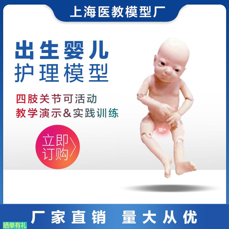 高端关节螺丝出生婴儿模型 四肢可活动