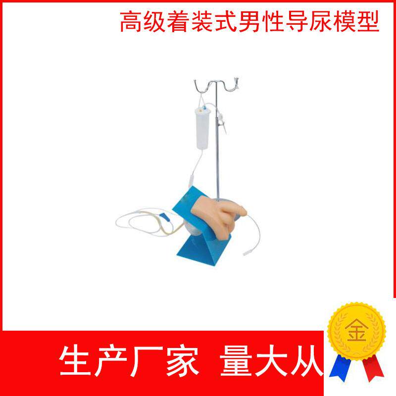 实习护理模型女性导尿t模型生殖器教具着装式男性导尿模型
