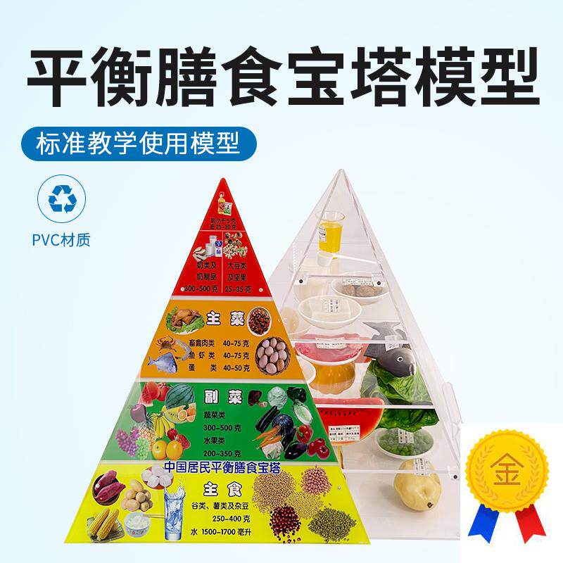2022新版中国居民平r衡膳食宝塔模型仿真食物营养金字塔交换份模