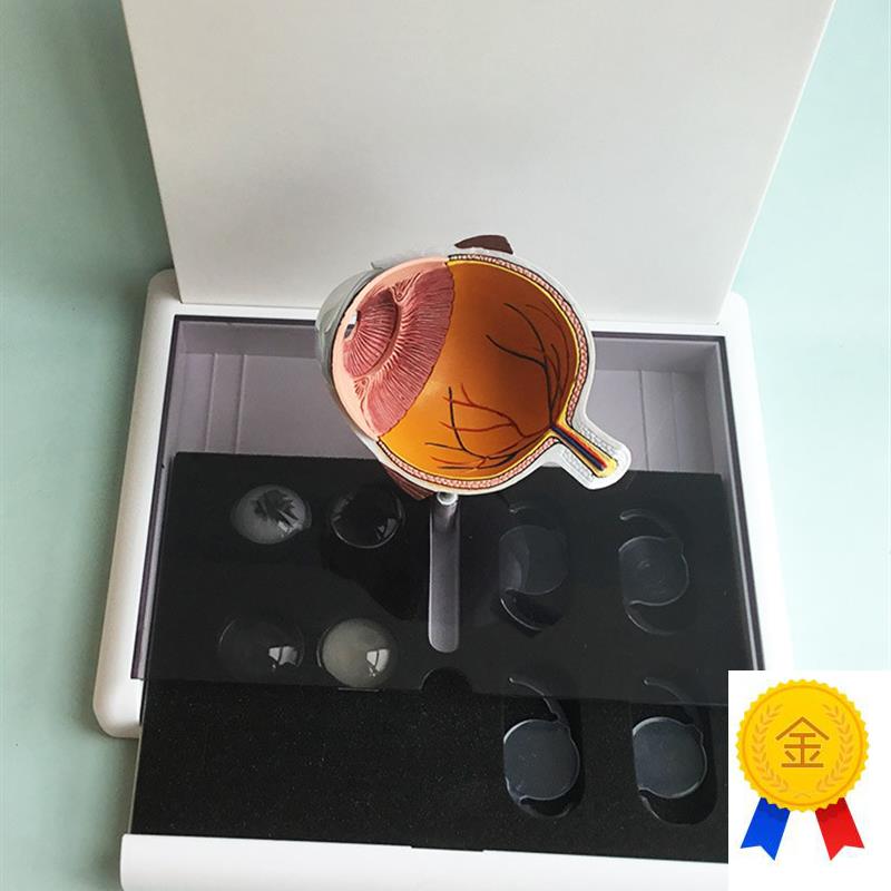 眼睛模型晶片虹膜器官解剖x白内障光学教仪医用医学教学教具