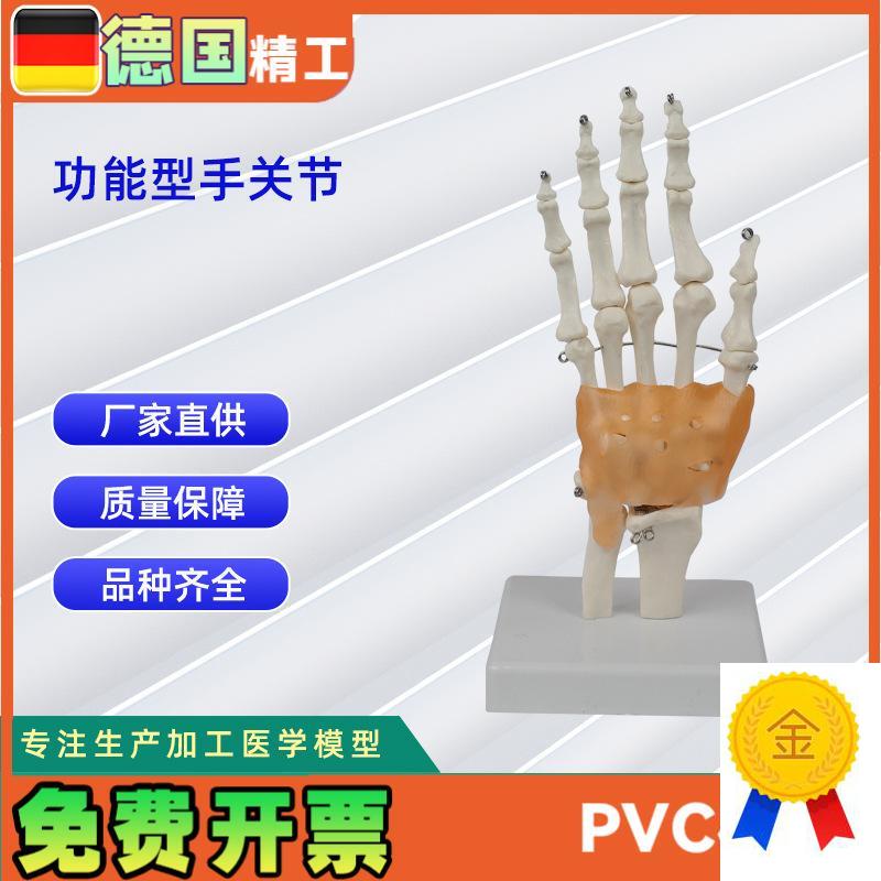 功能型手关节模型人体骨头R模型教学模型