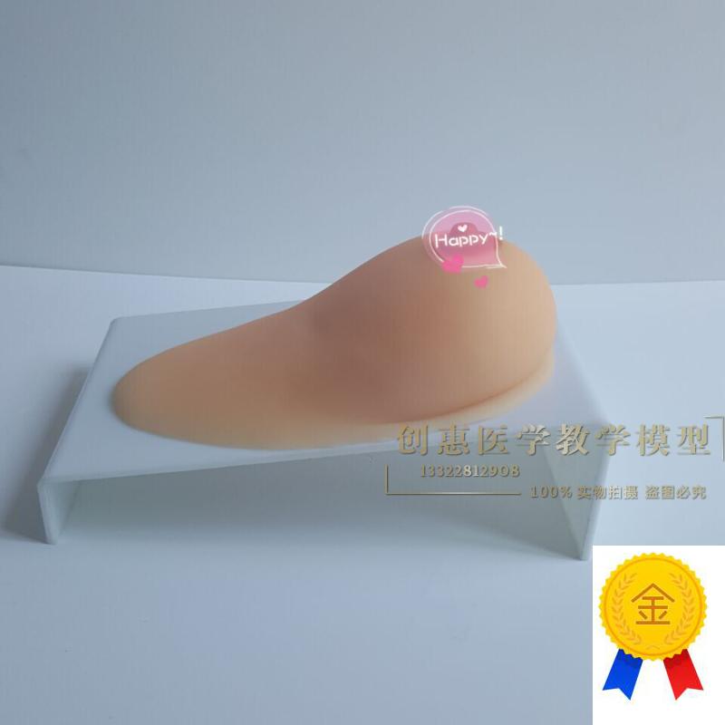 女性乳房模型催乳师p培训道具哺乳教学模型硅胶假乳房医学教具
