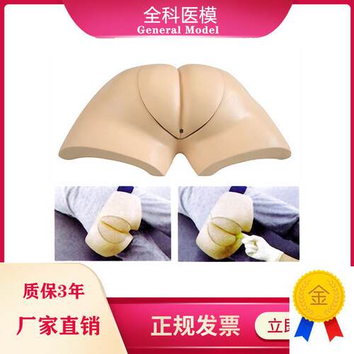 着装式人工取f便训练模型可穿着式设计实习护理臀部手助排便模型