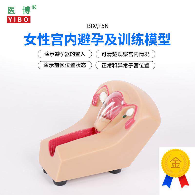 医博女性宫内避e孕器训练模型子宫生殖器官教学模具上环取环练习