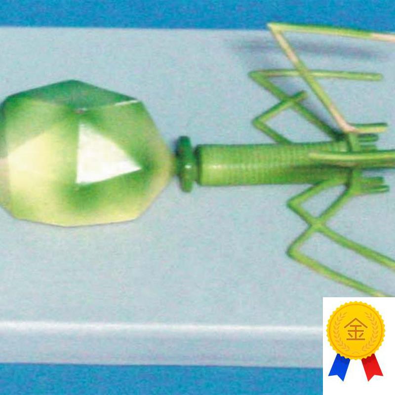 立体噬菌体病毒结u构模型医用生物教学讲解展示