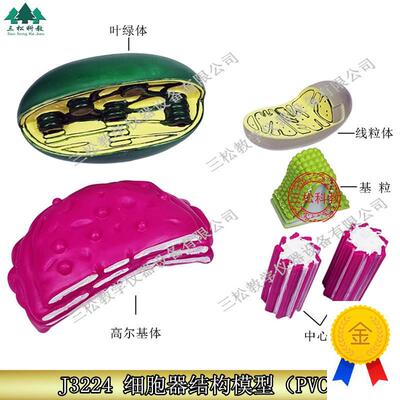 细胞器结构模型高中生q物教学仪器线粒体叶绿体高尔基体中心体