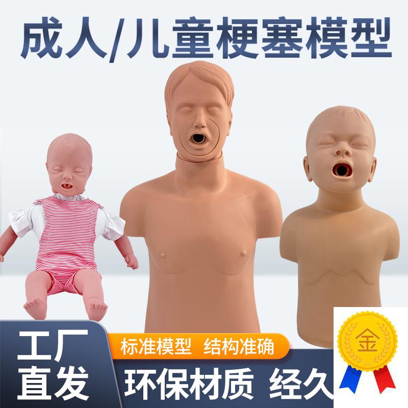 儿童海姆立克模型幼儿窒息模型婴儿梗G塞训练假人海氏急救培训教