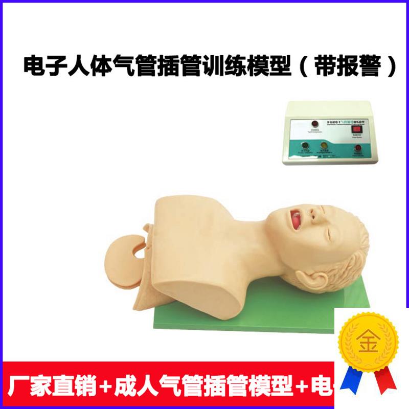电子人体气管插管训练模型(v带牙齿受压报警)口腔鼻腔气管插管训