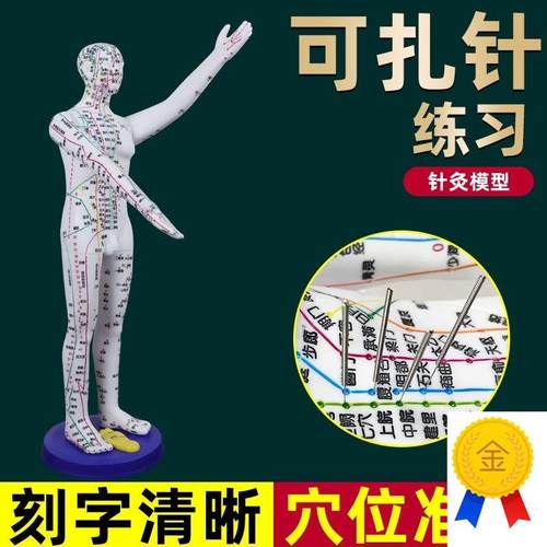 董氏奇穴人体模型仿真o大号中医针灸可扎针十二经络铜人全身穴位